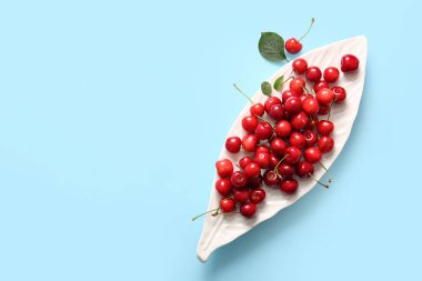 Mavi arka planda tatlı kirazlar