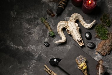 Şaman 'ın aksesuarları, arka planda koyun kafatası ve otlar.