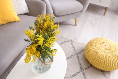 Oturma odasındaki masada mimoza çiçekleri olan vazo, yakın plan.