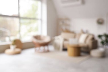 Rahat gri kanepesi, koltuğu ve sehpası olan şık bir oturma odası.