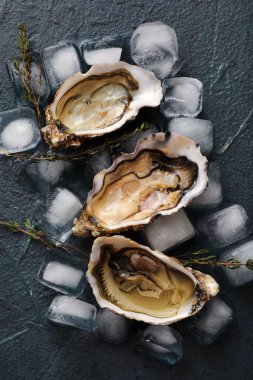 Kekik ve buz küplü lezzetli taze istiridyeler.