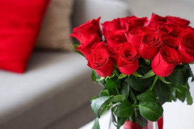 Oturma odasında bir vazo kırmızı gül. Sevgililer Günü kutlaması