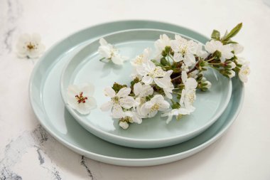 Beyaz arka planda çiçek açan dallı temiz yeşil plakalar, yakın plan