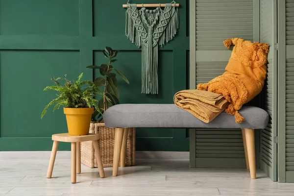 Güzel odadaki yeşil duvarın yanında rahat bir bank, ev bitkisi, yastık ve ekose.