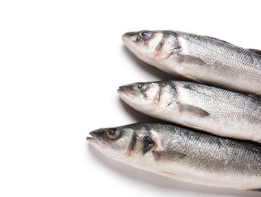 Beyaz arka planda izole edilmiş taze deniz kabuğu balığı, yakın plan.