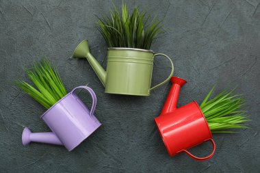 Siyah arka planda çimen olan su kutusu. Üst görünüm