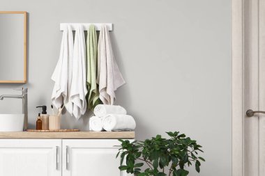Modern banyonun içinde kozmetik ürünler, ev bitkisi ve gri duvara temiz yumuşak havlular asmak.
