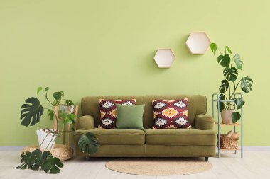 Oturma odasının içinde kanepe ve yeşil duvarın yanındaki raflarda Monstera bitkileri var.