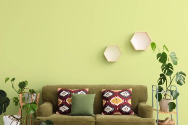 Oturma odasının içinde kanepe ve yeşil duvarın yanındaki raflarda Monstera bitkileri var.