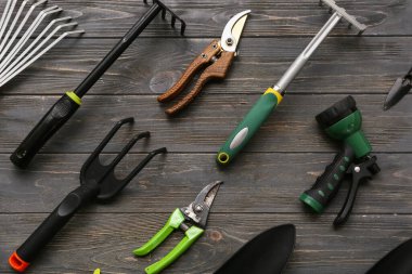 Siyah ahşap arka planda bahçıvanlık malzemeleri. Üst görünüm