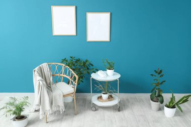 Hasır sandalye, masa ve oturma odasındaki mavi duvarın yanındaki farklı bitkiler.