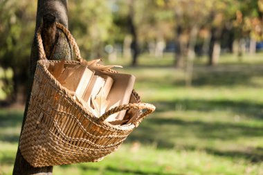 Parktaki ağaçta asılı duran kitap ve sonbahar yapraklarıyla dolu sepet.