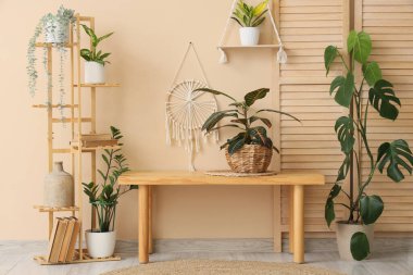 Ahşap bank, katlanan ekran ve salonun iç tarafındaki bej duvarın yanındaki ev bitkileri, yakın plan.