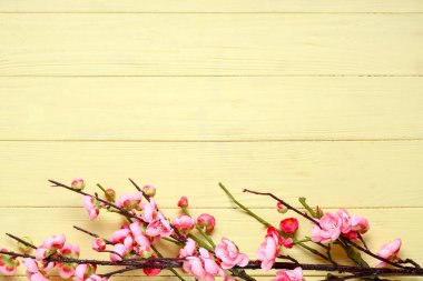 Sarı ahşap arka planda çiçek açan güzel dallar.