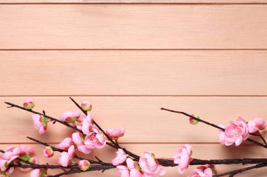Pembe ahşap arka planda çiçek açan güzel dallar.