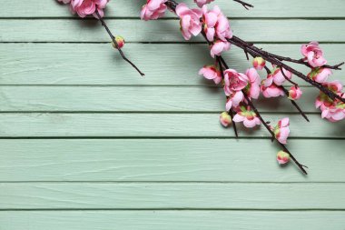 Yeşil ahşap arka planda çiçek açan güzel dallar.