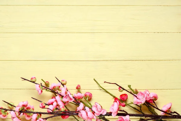 Sarı ahşap arka planda çiçek açan güzel dallar.