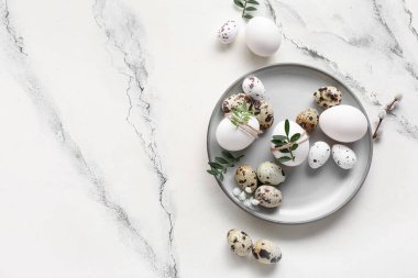 Plate with Easter eggs, leaves, gypsophila flowers and pussy willow branch on white background