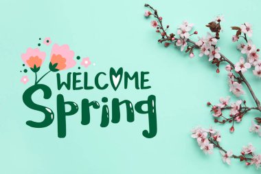 Turkuaz arka planda güzel açan dallar. Merhaba, Spring.