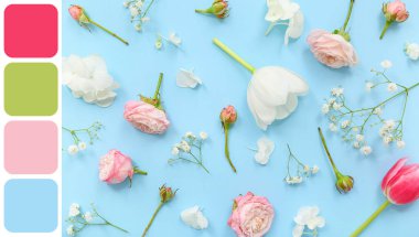 Mavi arka planda farklı çiçekler olan kompozisyon. Farklı renk desenleri