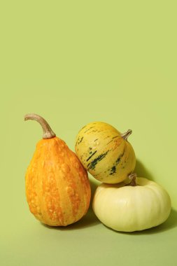 Yeşil arka planda farklı taze balkabakları