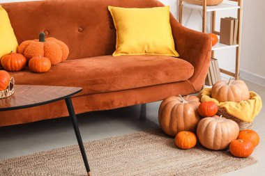 Balkabakları oturma odasının içinde yerde.