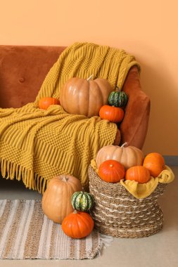 Oturma odasındaki turuncu kanepenin yanında farklı balkabağı ve battaniyeyle hasır sepet.