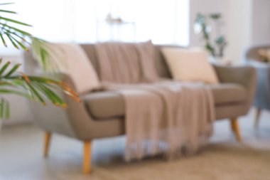 Hafif oturma odasında yumuşak yastıklar ve ekoseli gri kanepe bulanık görünüyor.