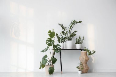 Odasında yeşil bitkiler olan bir masa.