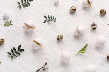 Easter eggs with leaves and pussy willow branches on white background