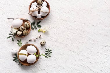 Bowls with Easter eggs, leaves, beautiful flowers and pussy willow branches on white background