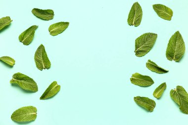 Renkli arkaplanda taze nane yaprakları olan kompozisyon