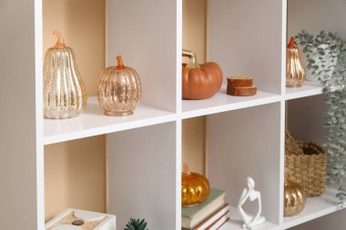 Süslü balkabaklarıyla raflar, bitkiler ve kitaplar bej duvarın yanında.