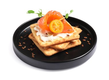 Beyaz arka planda izole edilmiş tabakta peynirli, somonlu, domatesli ve tohumlu krakerler.