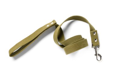 Beyaz arkaplanda evcil hayvan tasması