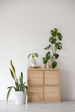 Odadaki ışık duvarının yanında yeşil bitkiler olan tuvalet