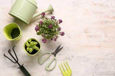 Bej grunge arka planda fidanlı saksılar, çiçekler ve bahçe aletleri