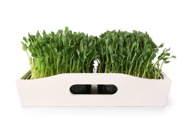 Beyaz arka planda taze mikro yeşil ahşap tepsi