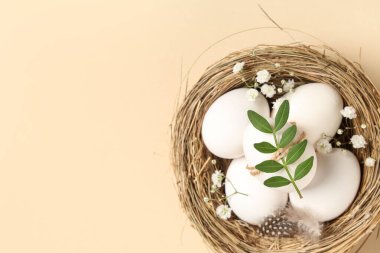 Paskalya yumurtaları, yapraklar, tüy ve bej arka planda çingene çiçekleri olan yuva.
