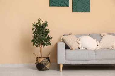 Oturma odasının iç tarafında rahat bir kanepe ve çiçek var.