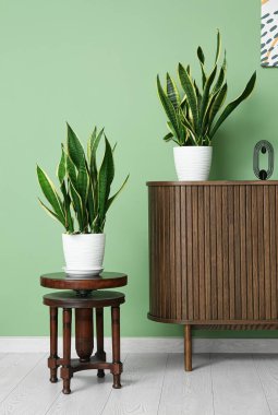 Çekmeceler ve oturma odasındaki yeşil duvarın yanındaki çiçekli masa.