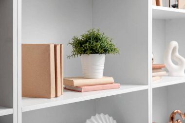 Kitaplı raflar ve çiçekli, yakın plan.