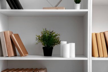 Kitaplı raflar, çiçek ve mumlar, yakın plan.