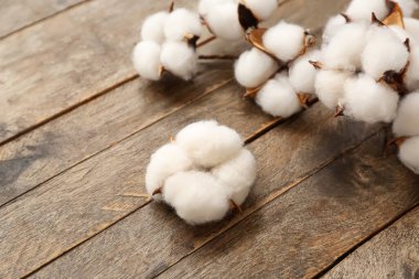 Tahta masadaki güzel pamuk çiçekleri