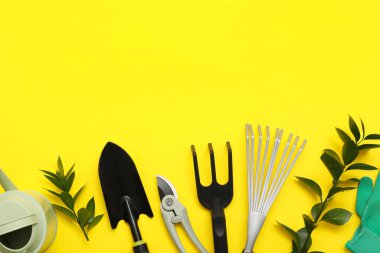 Bahçe malzemeleri ve sarı arka planda bitki yetiştirme. Üst görünüm