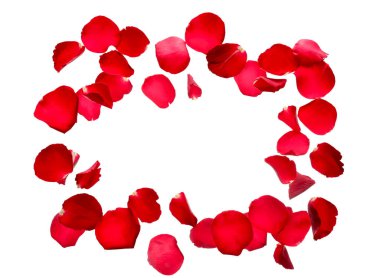 Beyaz arkaplanda uçan kırmızı gül yapraklarından yapılmış çerçeve