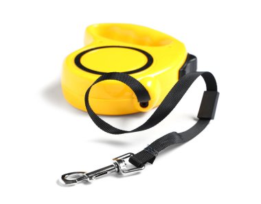 Beyaz arka planda geri çekilebilir köpek tasması