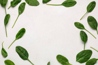 Açık arkaplanda taze ıspanak yapraklarından yapılmış çerçeve