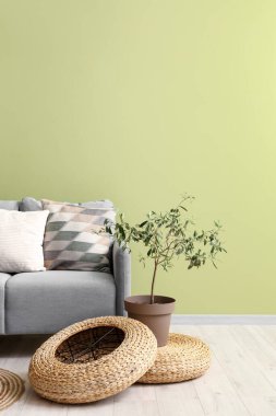 Oturma odasının içinde rahat gri kanepe, çiçek ve hasır poufs