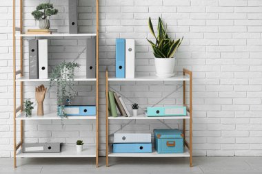 Ofiste beyaz tuğla duvarın yanında doküman dizinleri ve bitkilere sahip raflar